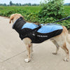 large dog coat harness