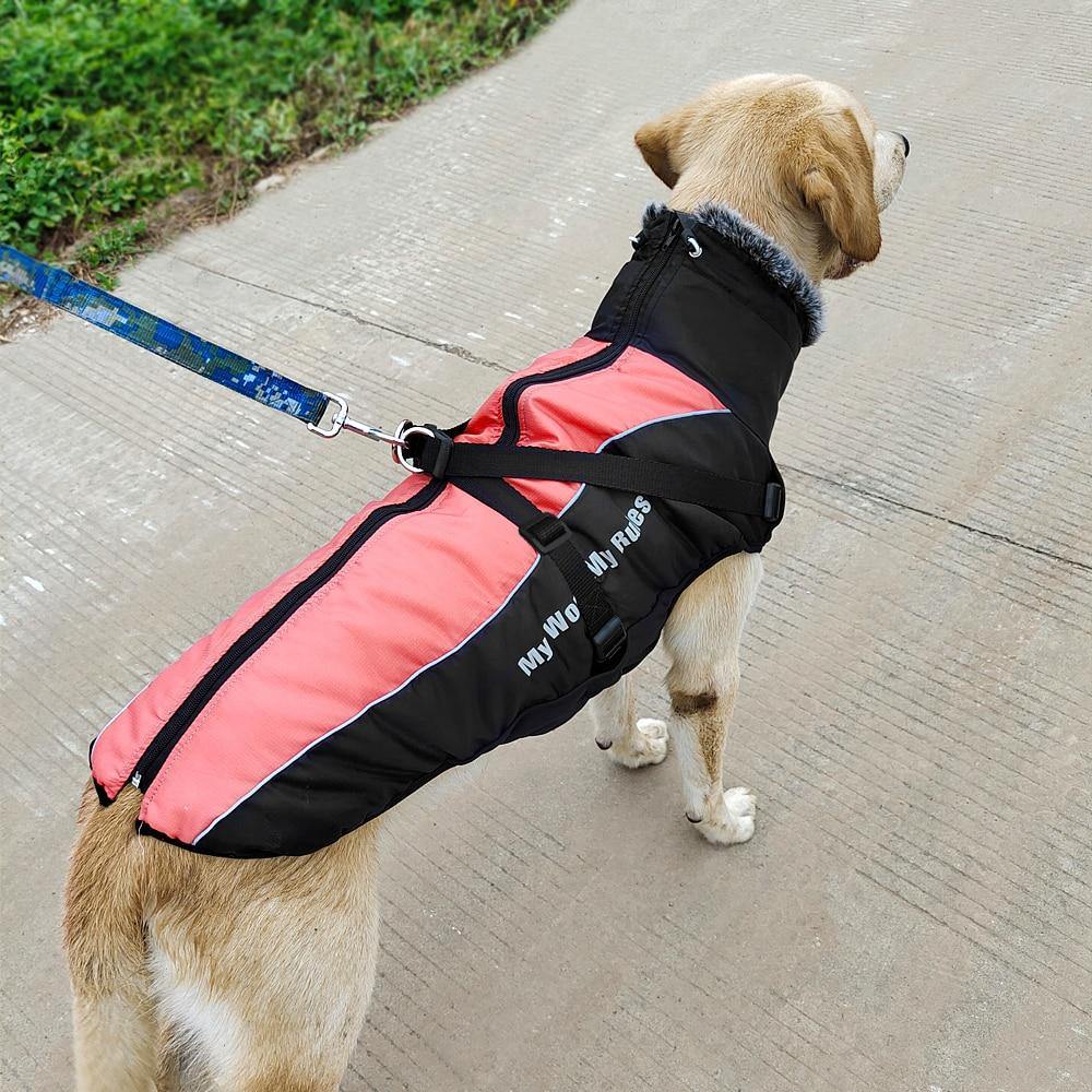 Harness Dog Jacket