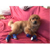 Load image into Gallery viewer, Waterproof Non-Slip Dog Shoes