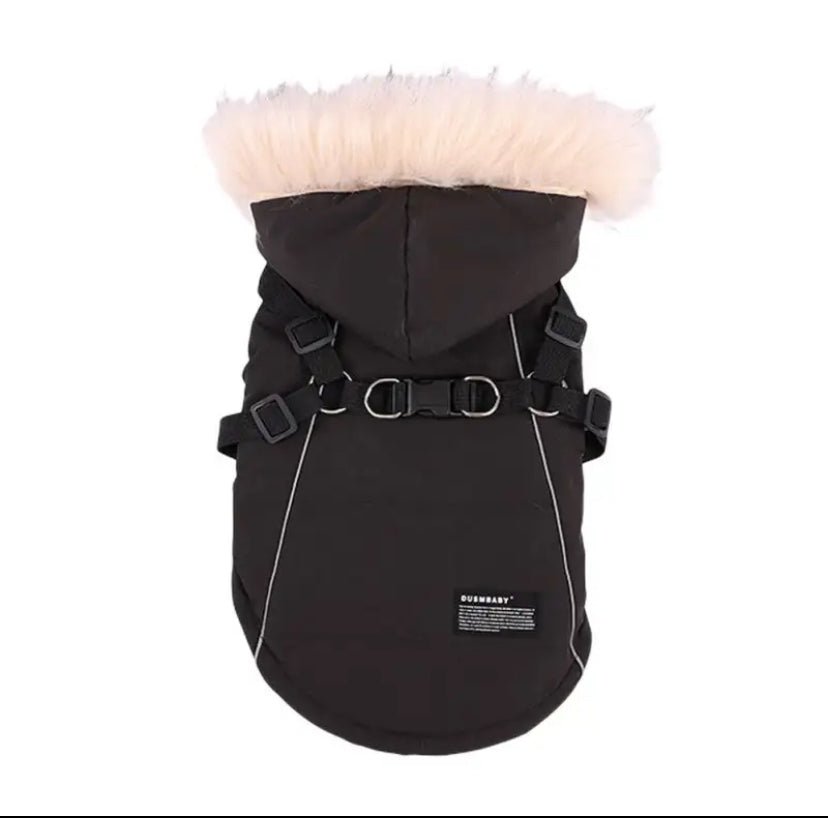 Winter Dog Jacket With Harness For Small Breeds