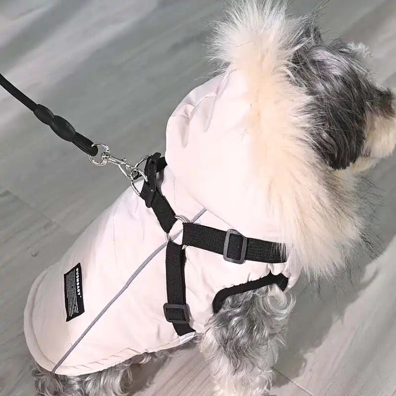 Winter Dog Jacket