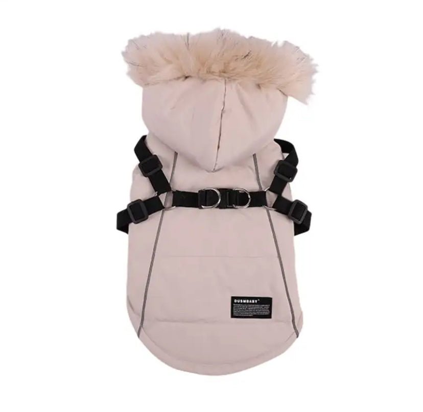 Winter Dog Jacket With Harness For Small Breeds