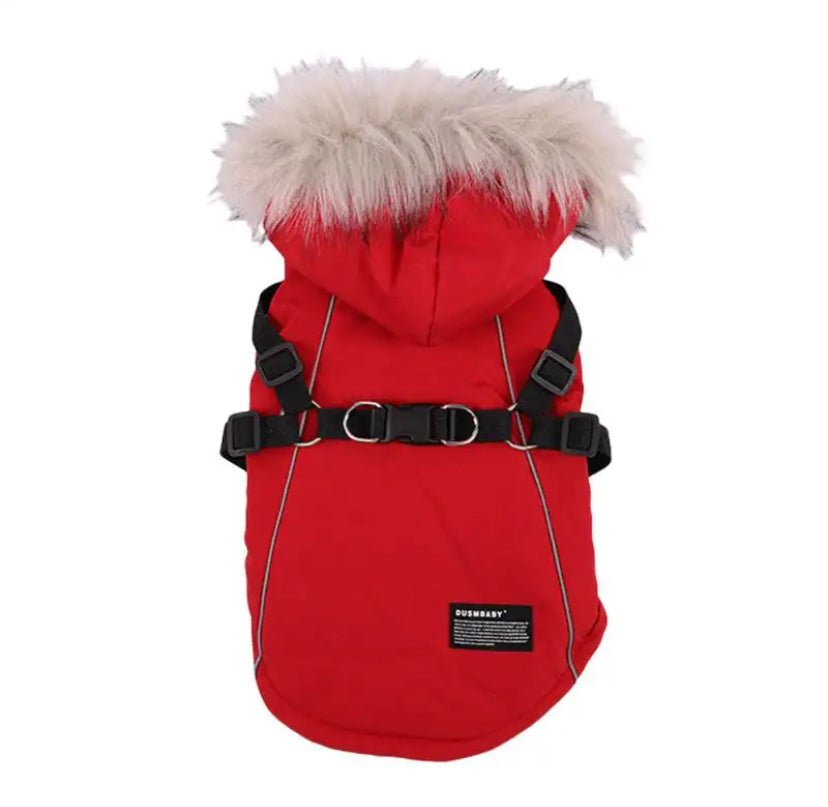 Veste d'hiver pour chien avec harnais pour petites races