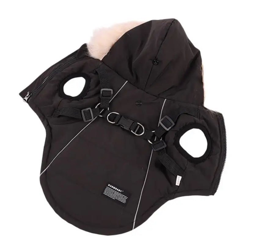 Winter Dog Jacket With Harness For Small Breeds