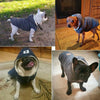 Winter Warmer Dog Jacket (Small-Med Breeds)